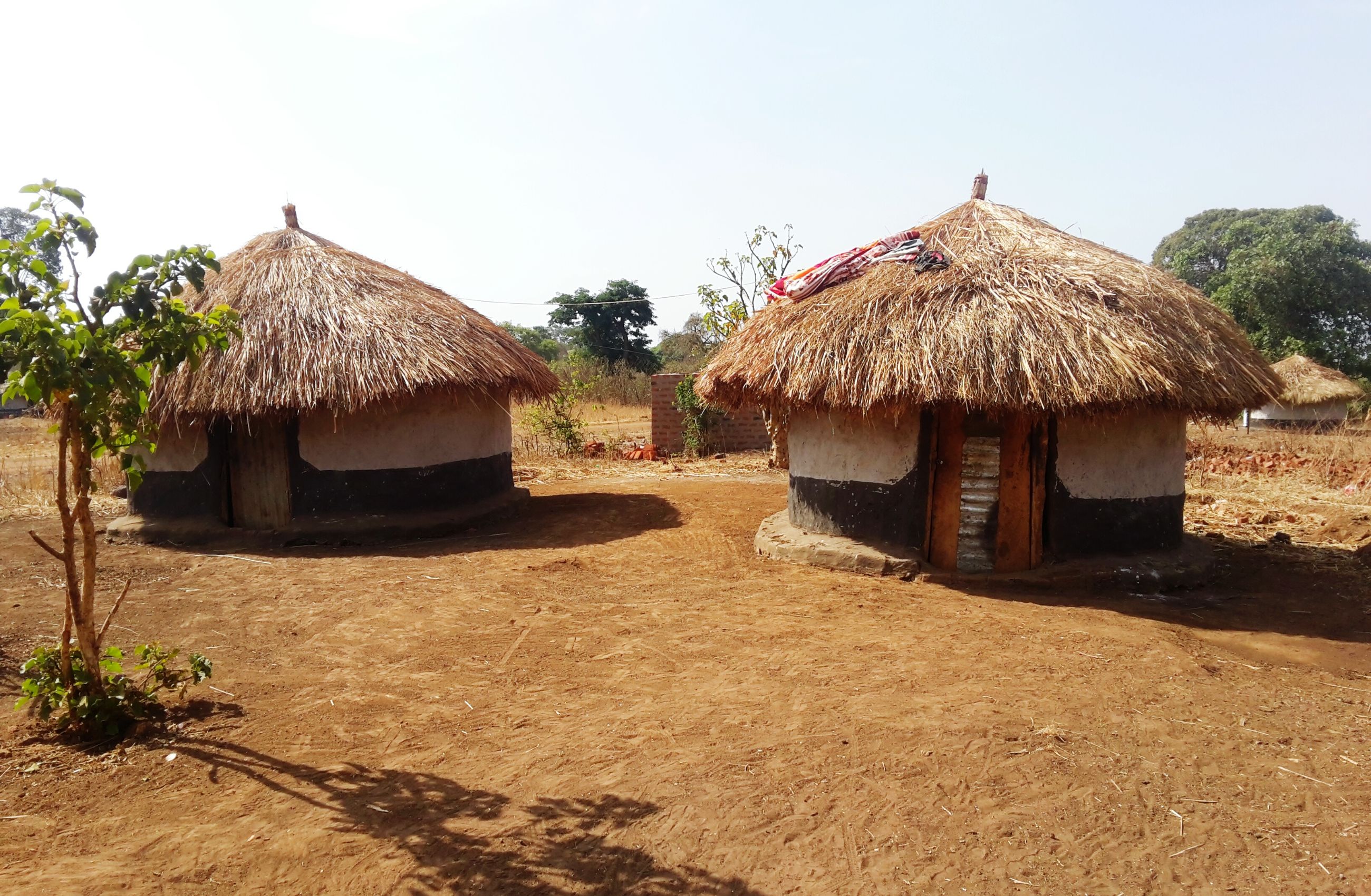 Two traditional circular houses with straw roofs in Tsavo West National Park in Kenya.
