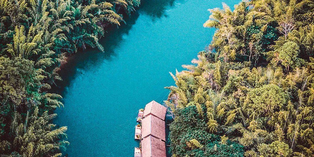 Jungle Raft