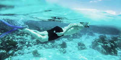 Snorkelling above colourful coral reefs, a Contiki traveller explores the Great Barrier Reef on the Whitsundays to Cairns Tour