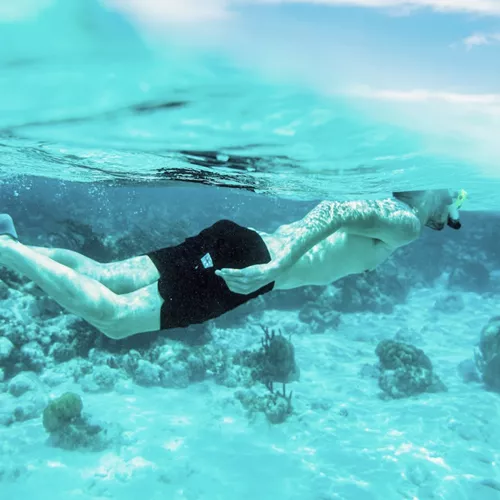 Snorkelling above colourful coral reefs, a Contiki traveller explores the Great Barrier Reef on the Whitsundays to Cairns Tour