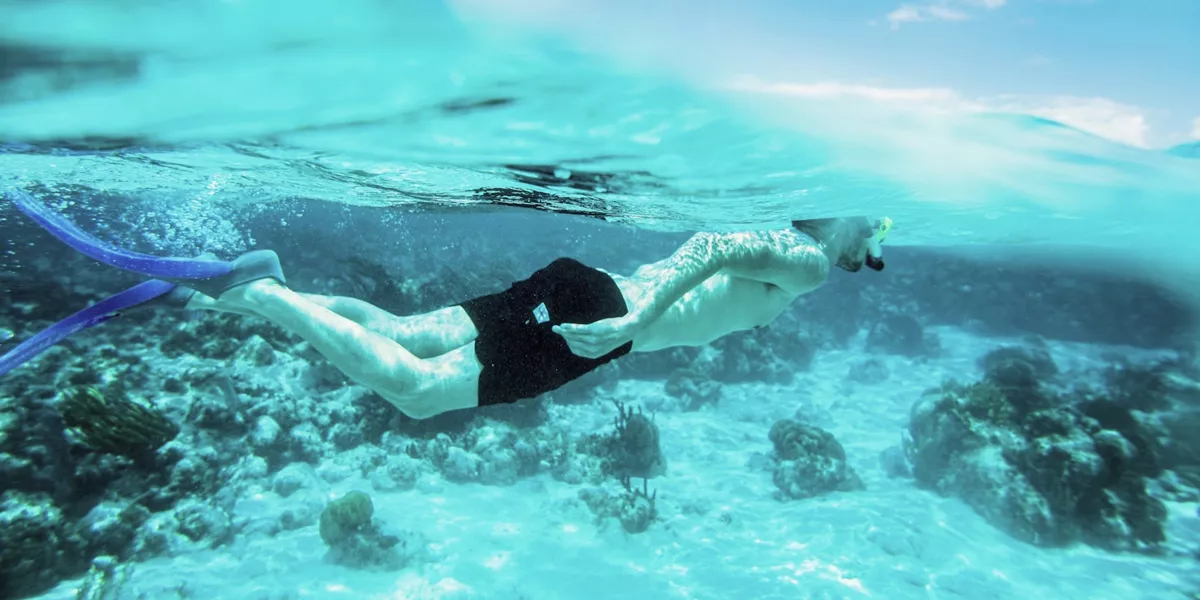 Snorkelling above colourful coral reefs, a Contiki traveller explores the Great Barrier Reef on the Whitsundays to Cairns Tour