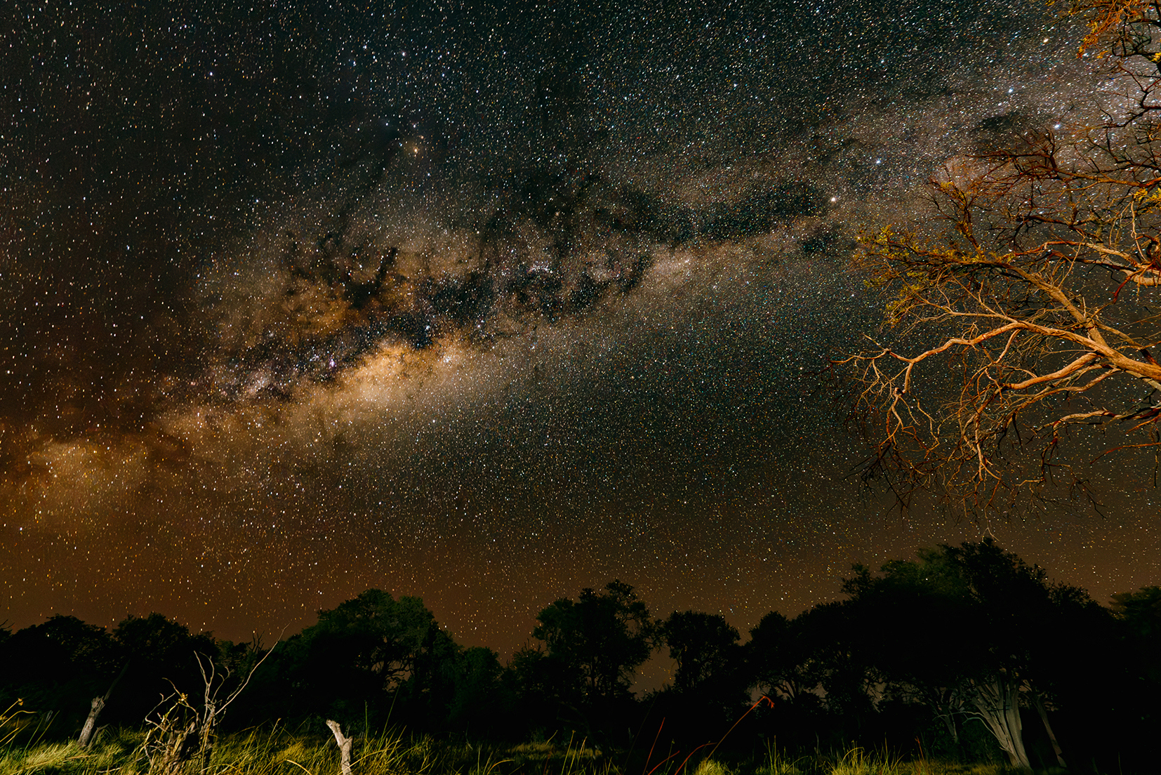Spend a Night under the African Stars
