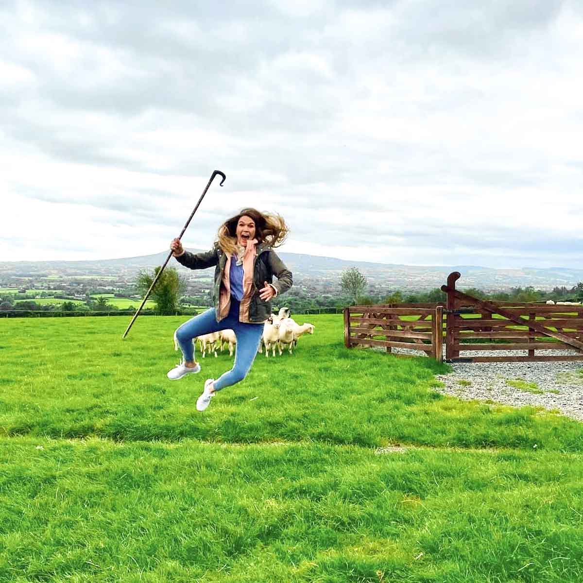 On A Farm In Ireland With Sheeps