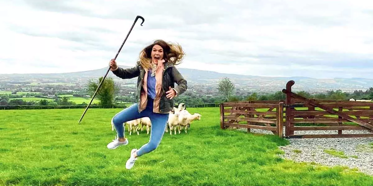 On A Farm In Ireland With Sheeps
