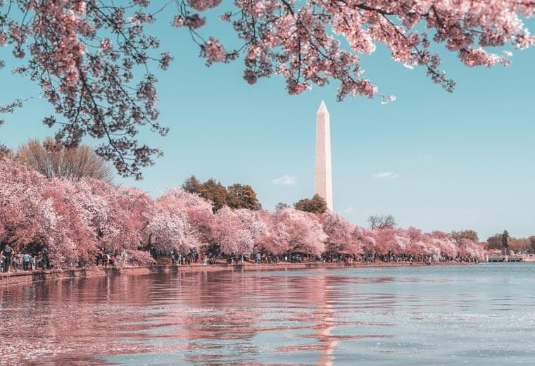 USA Tours, Trips & Vacations 2025 / 2025 Contiki