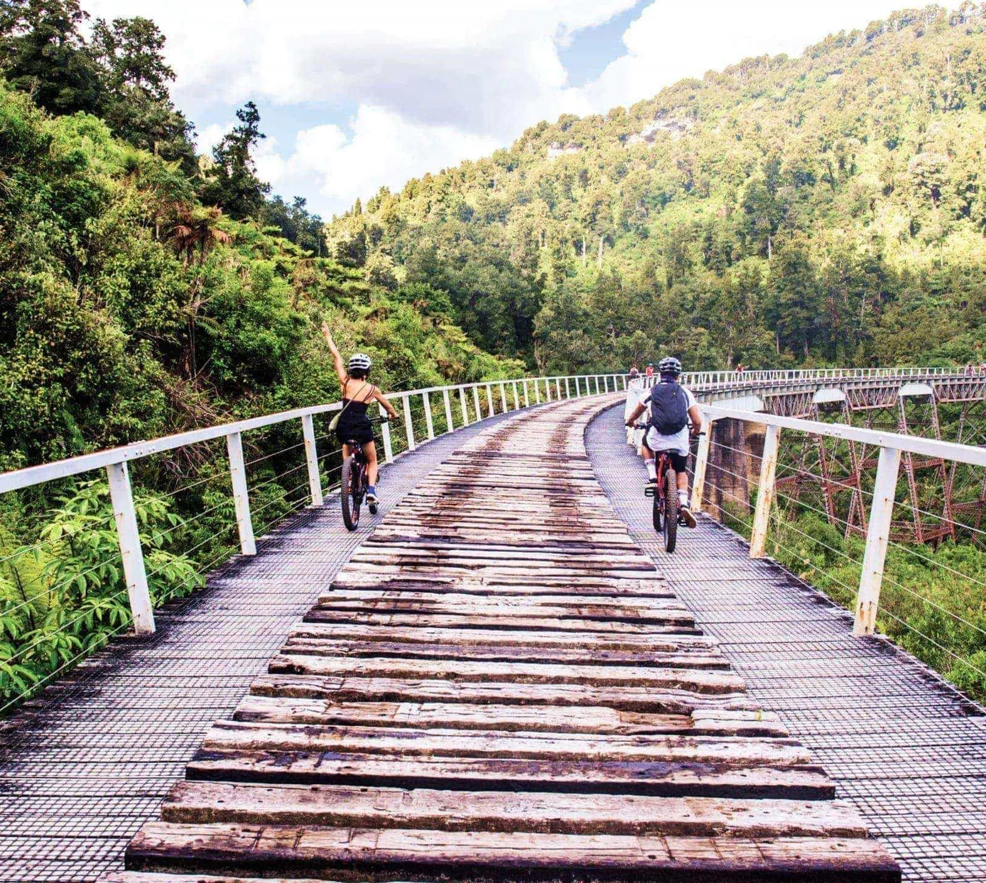 Travellers cycling across a scenic railway bridge through native forest on the Contiki Wild New Zealand Tour