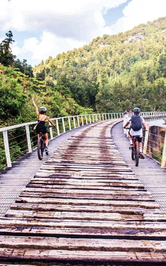 Travellers cycling across a scenic railway bridge through native forest on the Contiki Wild New Zealand Tour