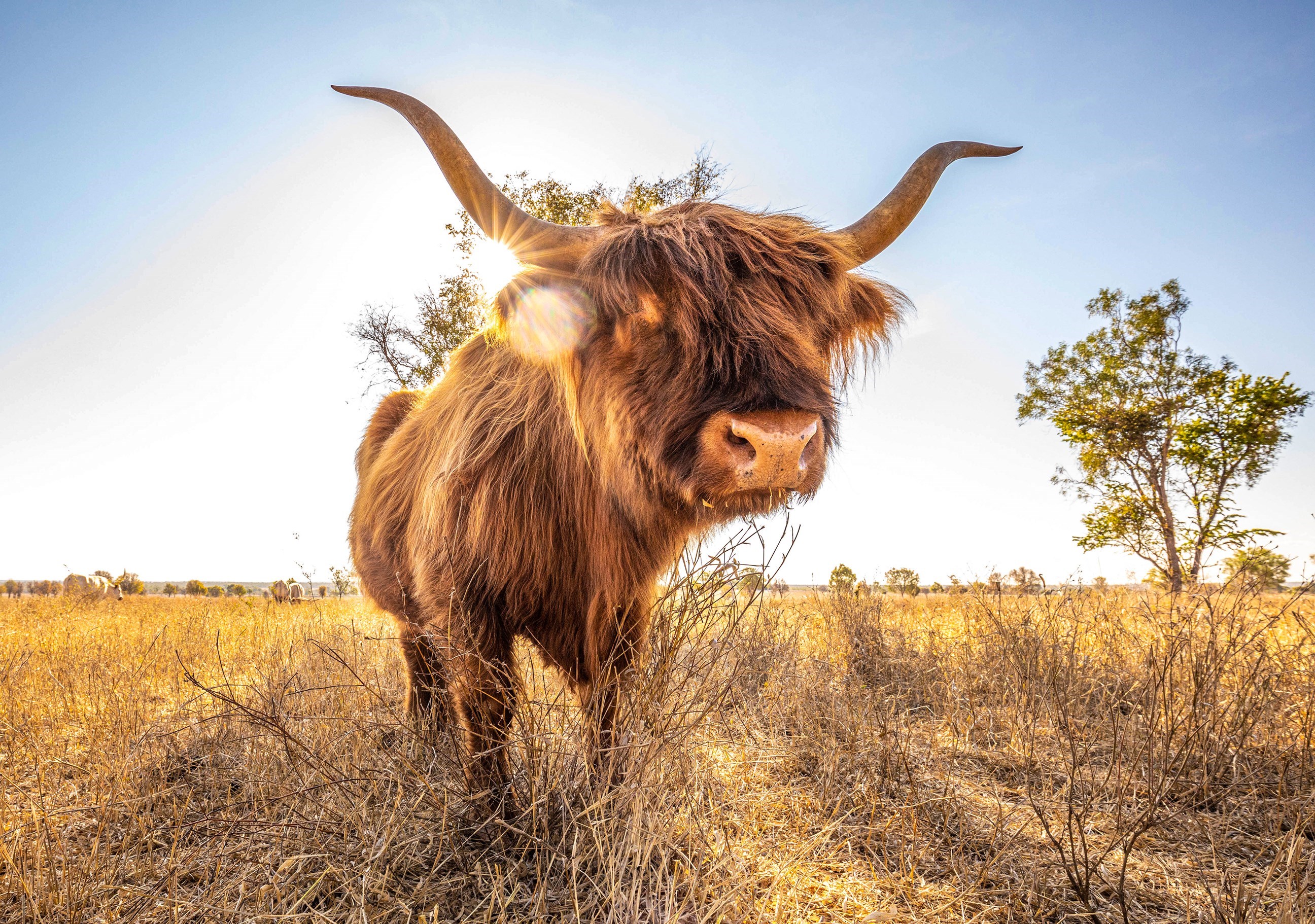 See (and Consume) Things Differently at ‘The Farm’ MAKE TRAVEL MATTER® Experience