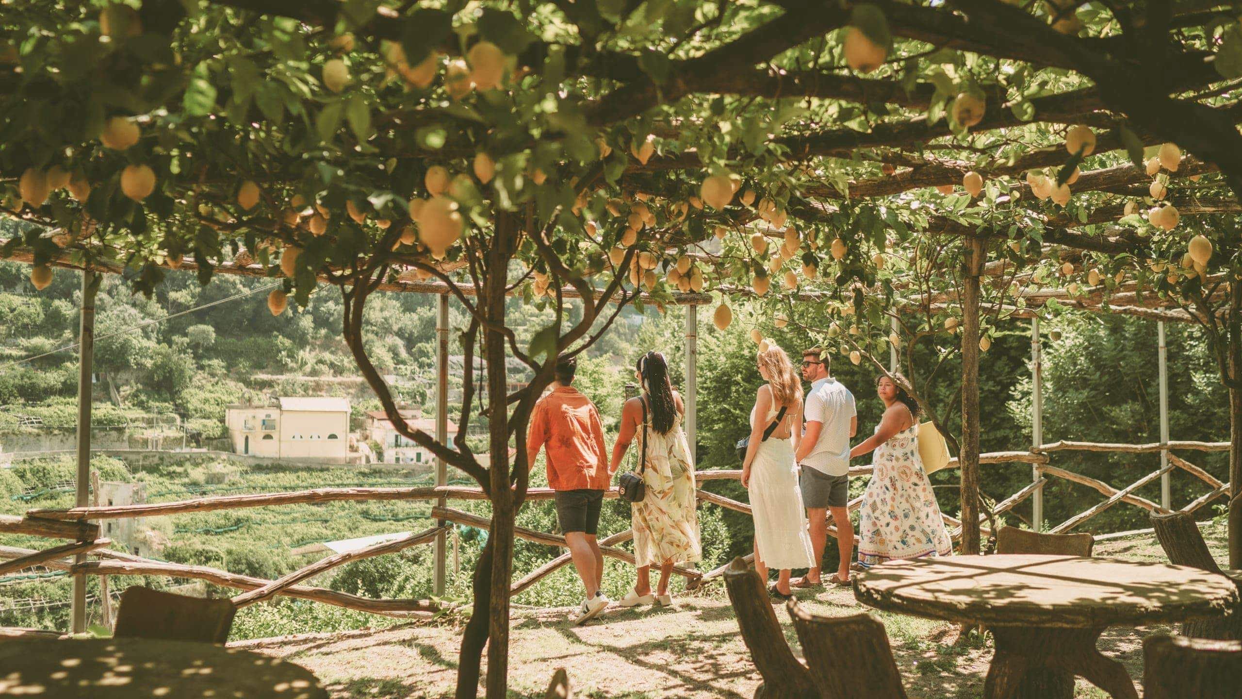 Travellers walking beneath a lemon grove in Italy, during Contiki's Amalfi Coast & Sicily Tour