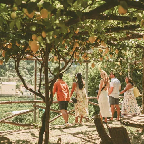 Travellers walking beneath a lemon grove in Italy, during Contiki's Amalfi Coast & Sicily Tour