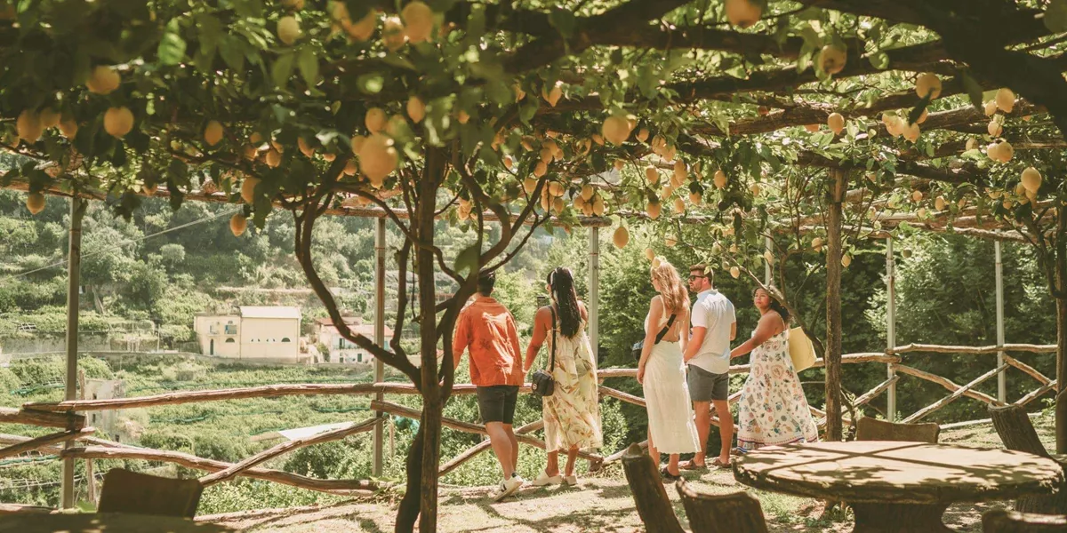 Travellers walking beneath a lemon grove in Italy, during Contiki's Amalfi Coast & Sicily Tour