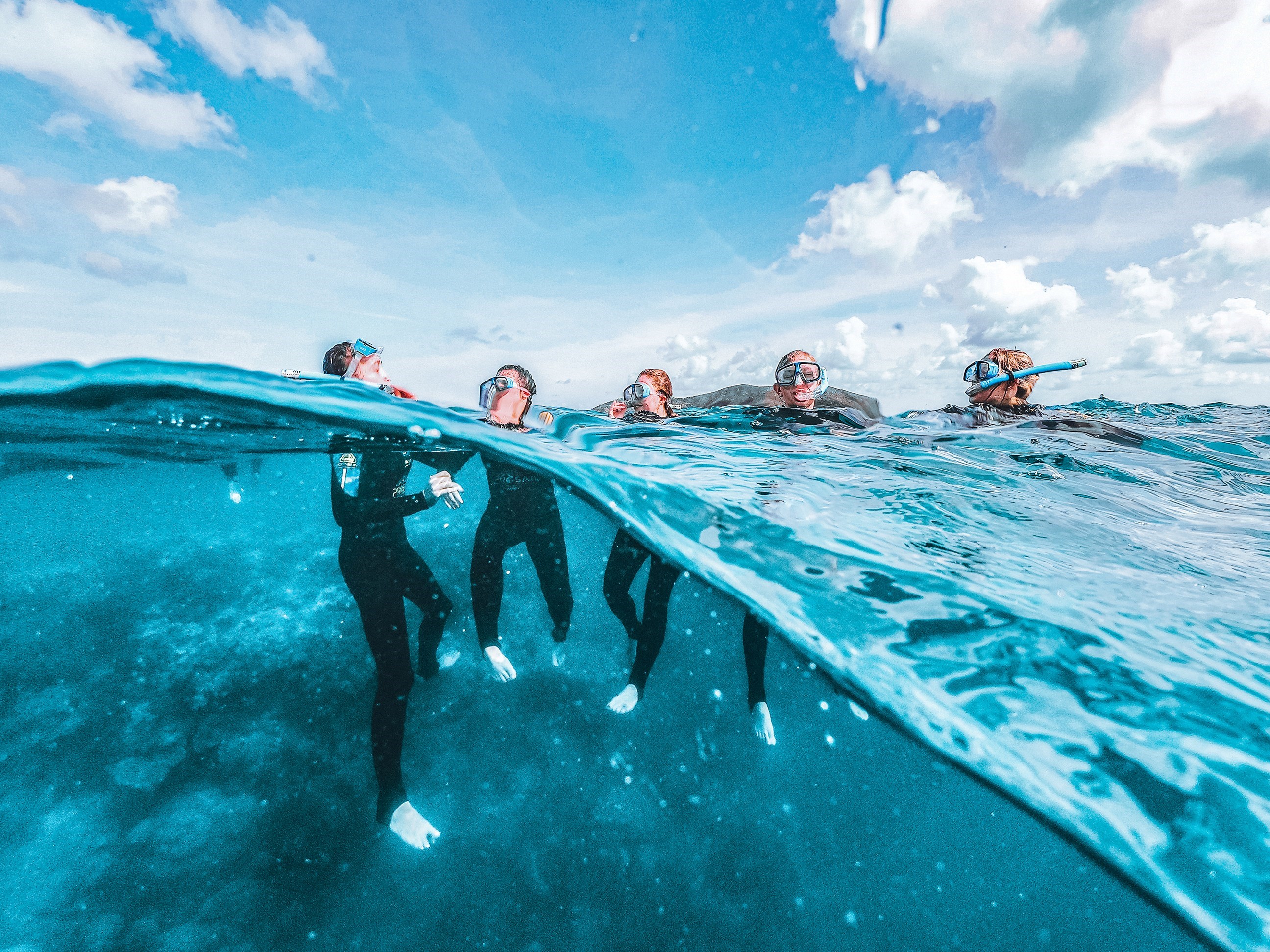 Final Day for Snorkelling Opportunities