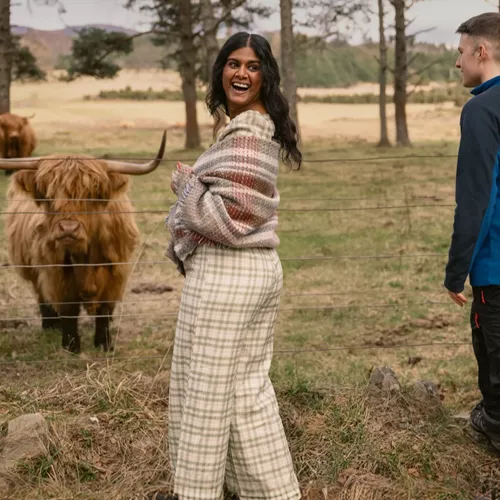 A group meeting a Highland cow in the Scottish Highlands - Contiki Scotland in a Week tour