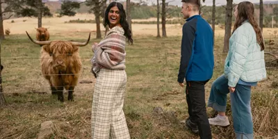A group meeting a Highland cow in the Scottish Highlands - Contiki Scotland in a Week tour