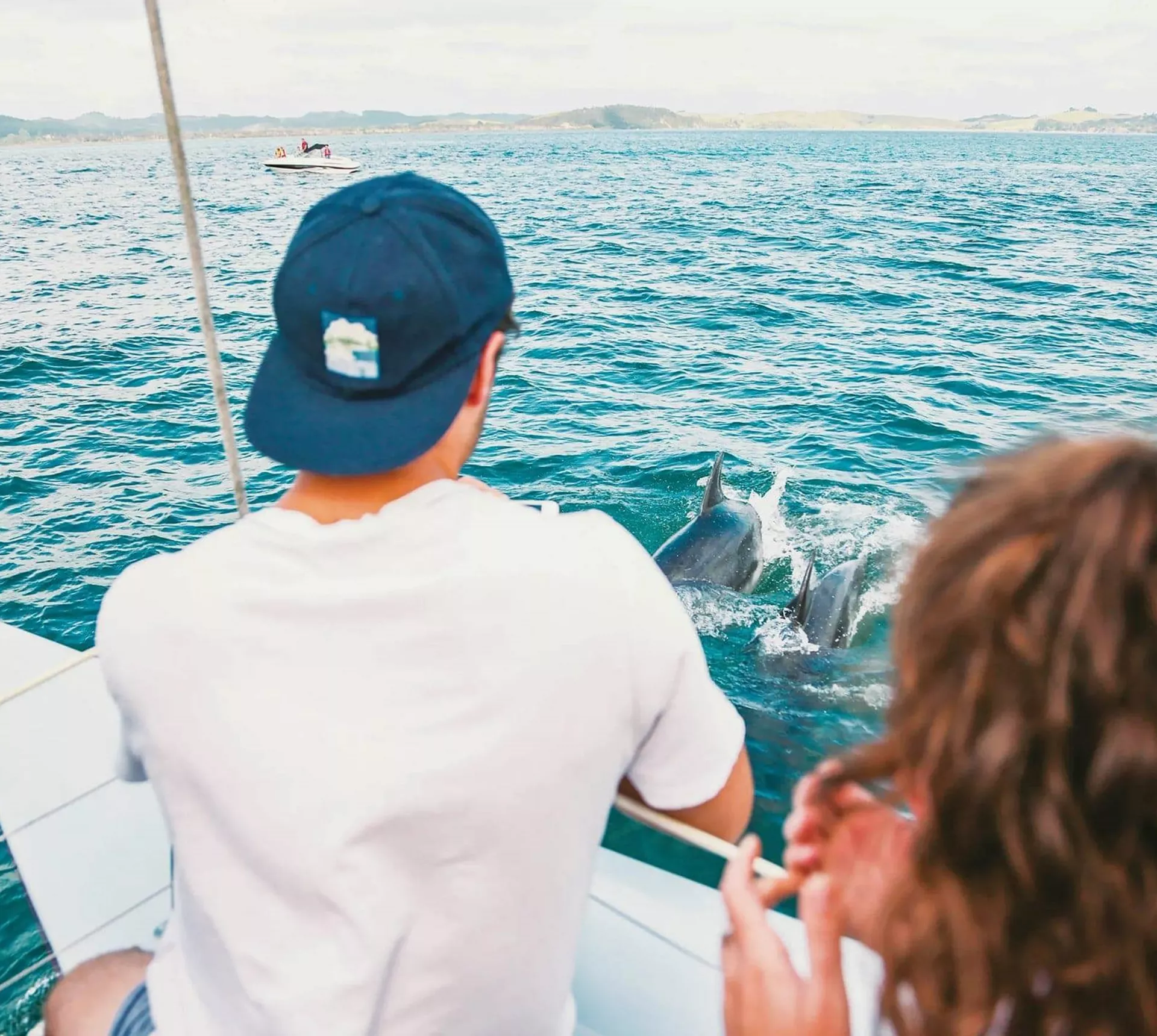 Dolphins swimming beside a boat in the Bay of Islands during Contiki's Bay of Islands & Rotorua Tour