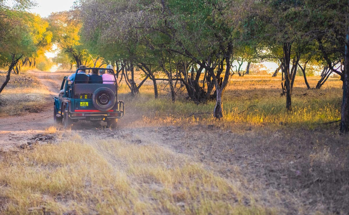 People Enjoying A Safari In Jeep