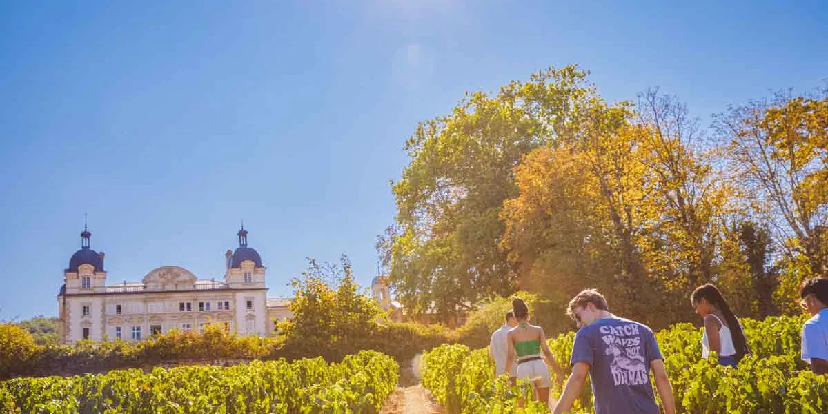 People Walking In The Sun In France