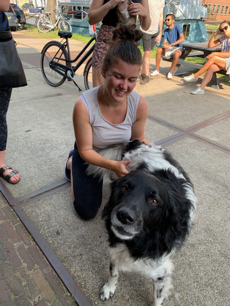 Brittany Kummer patting a Border Collie.
