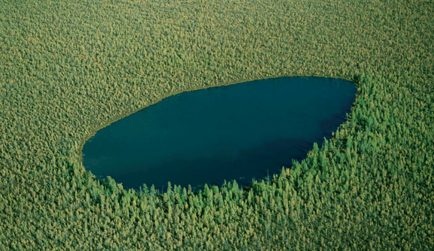 The-forest-lake-Russia