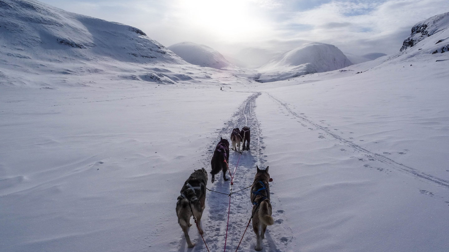 15 winter sports you need to try instead of skiing Sixtwo