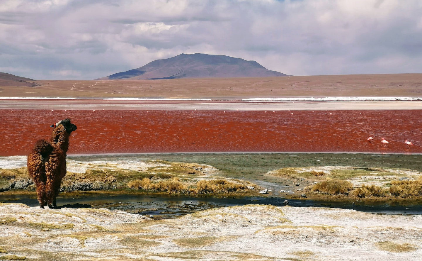 12 Best Places to Visit in Latin America sixtwo by Contiki