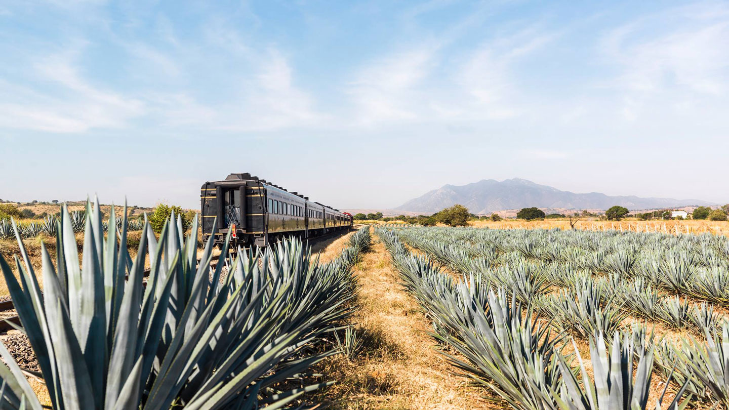 There's an allyoucandrink tequila train through Mexico