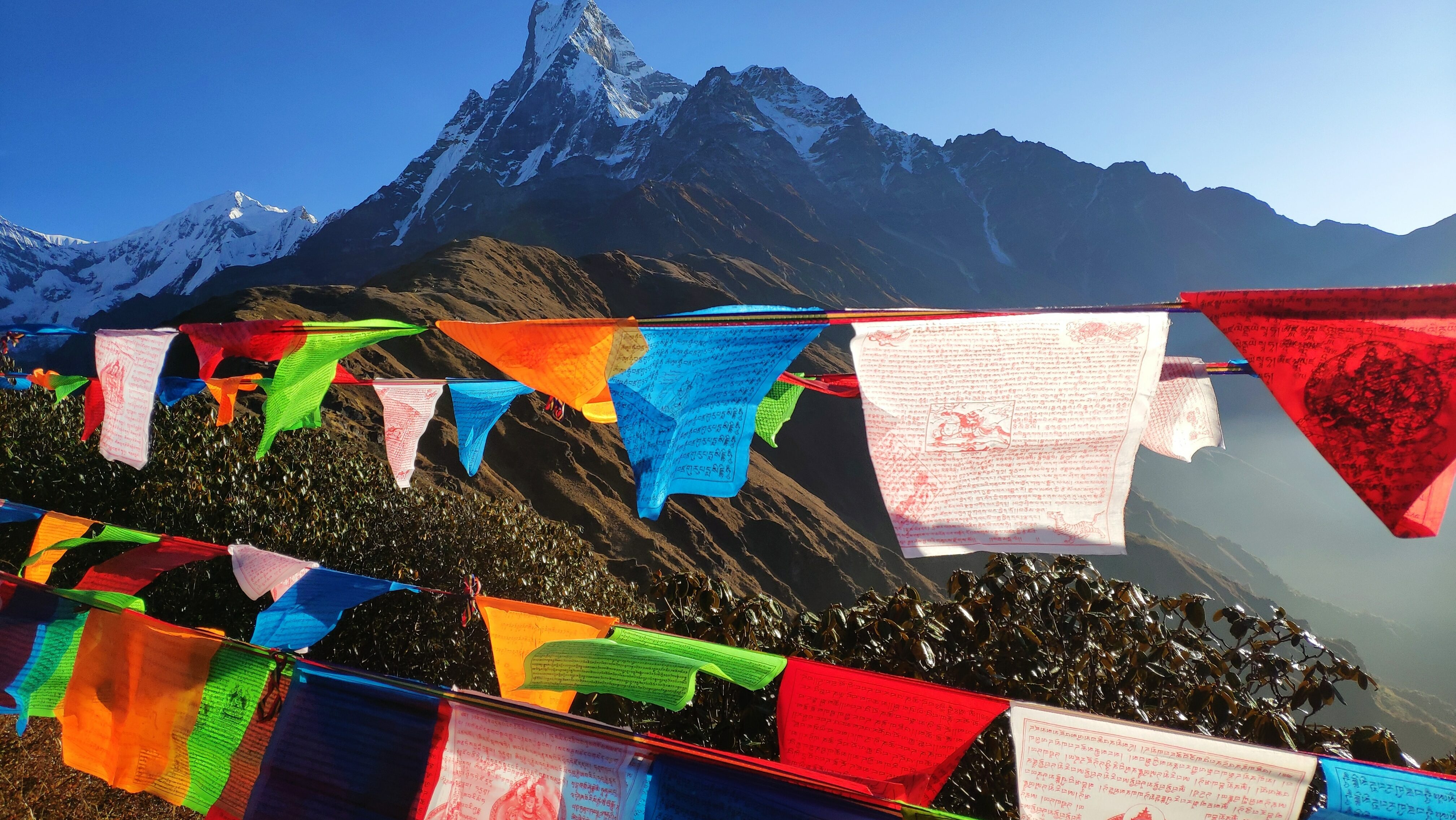 My Himalayan rendezvous | Contiki