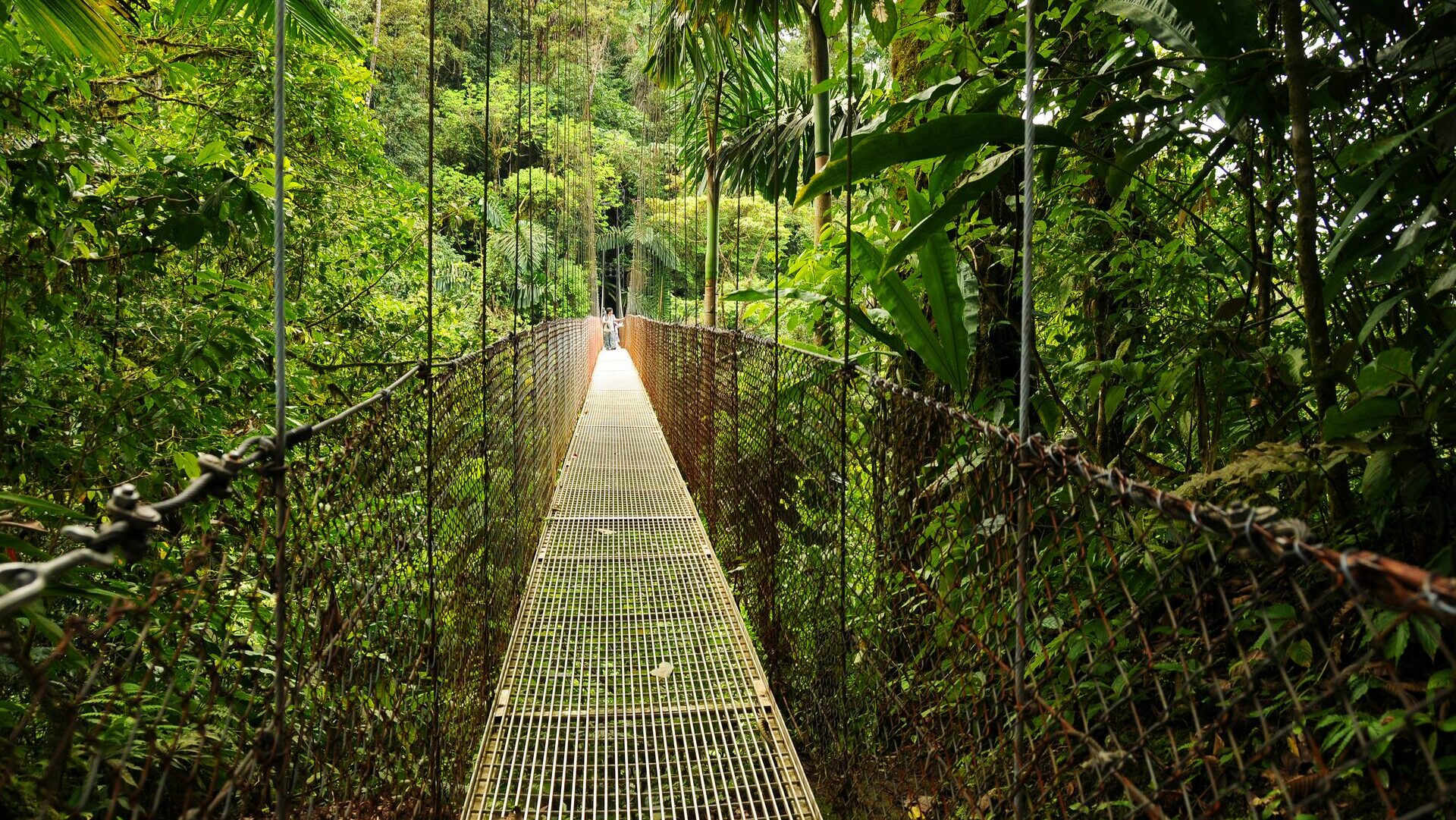 10 Best National Parks in Costa Rica | Contiki