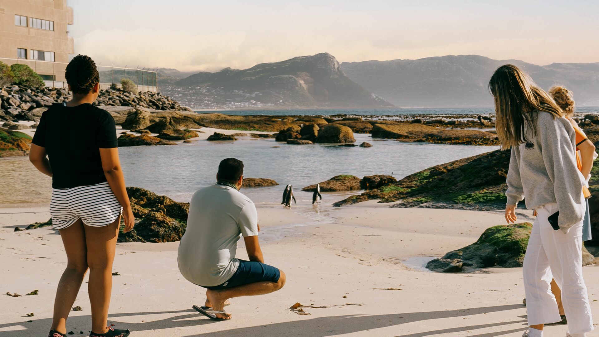 How to a Digital Nomad in South Africa sixtwo by Contiki