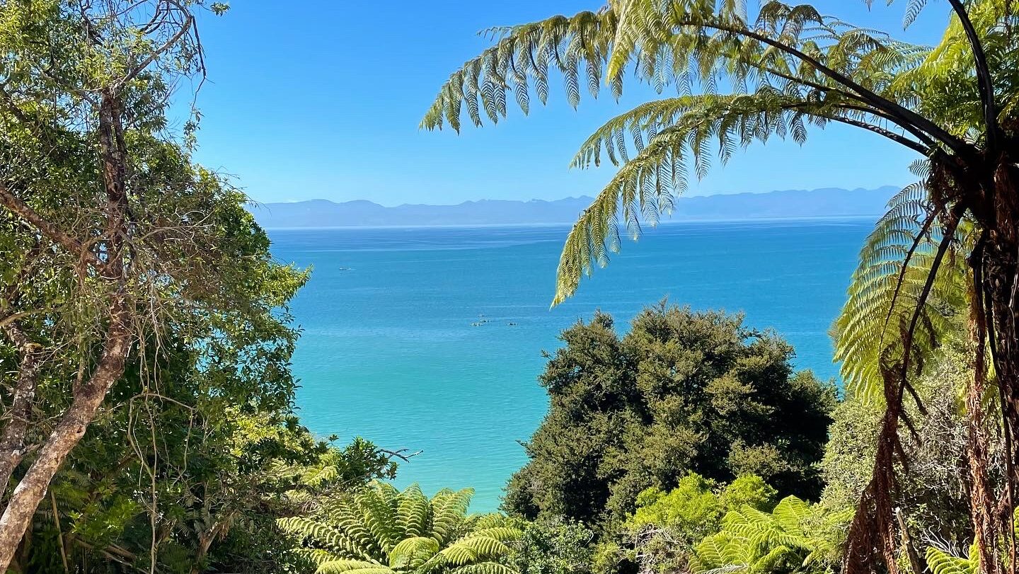 A guide to scuba diving in New Zealand | six-two by Contiki