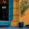 All the best things to do in Oaxaca City, Mexico