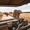 When’s the best time to go on safari?