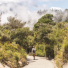 10 fun and interesting things to do in Rotorua this year