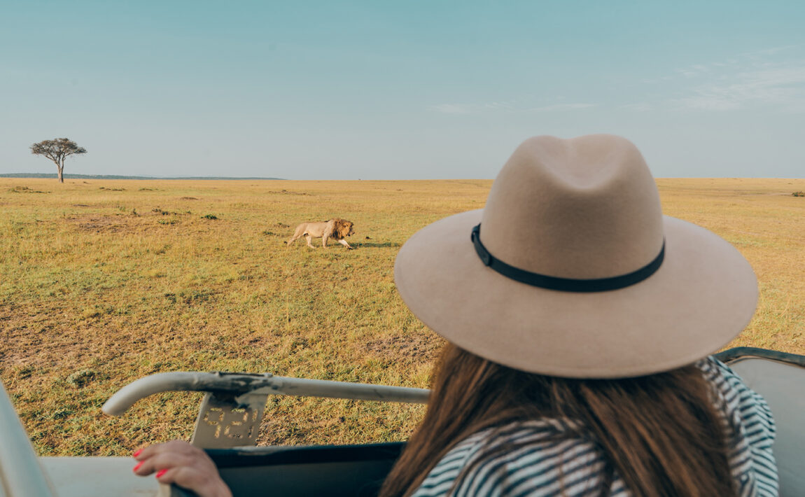 A woman wearing a hat while observing big cats in the wild.