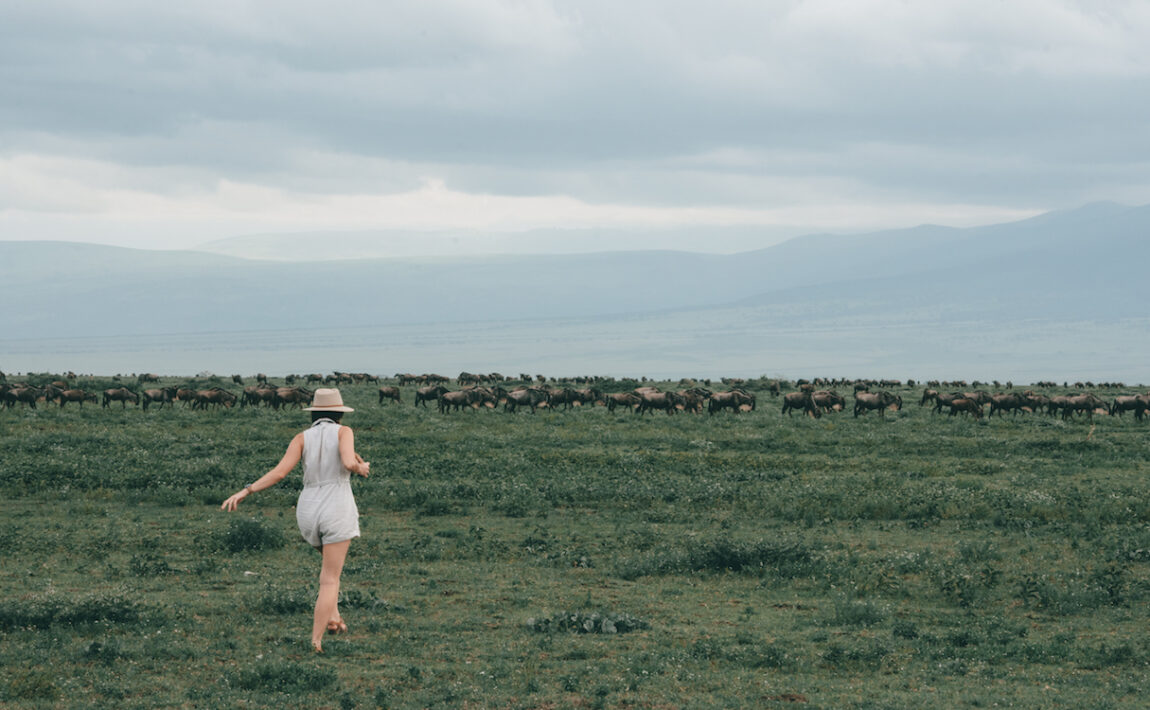A woman observing East African wildlife in a field with a herd of wildebeests.