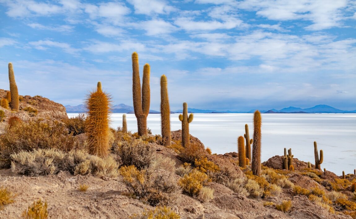 Bolivia, South America