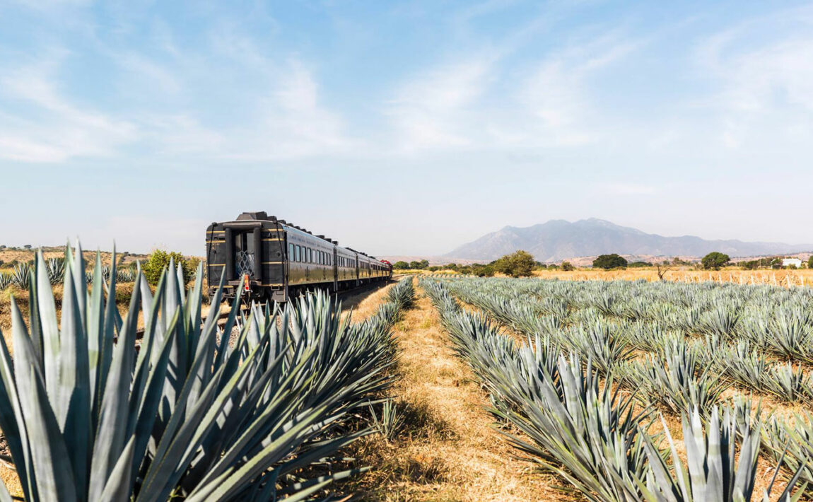 tequila-train-mexico