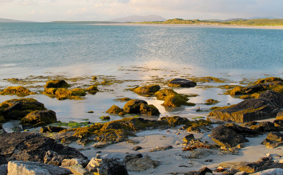 A wild swimming spot with a rocky shore in the UK.