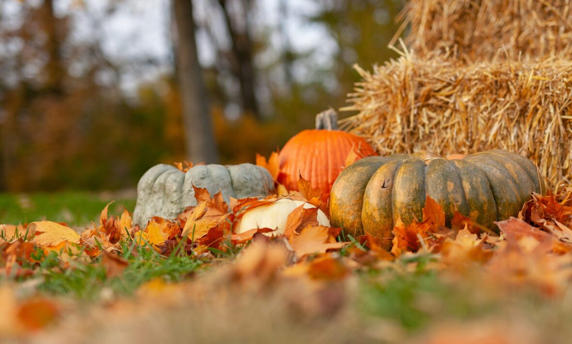 pumpkins and hay in autumnal nature, thanksgiving