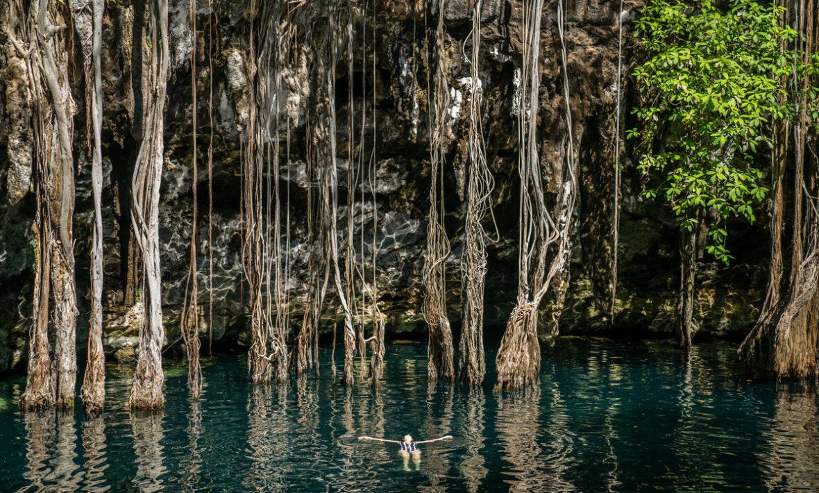 A man, 18 years old, is swimming in the water near some trees.