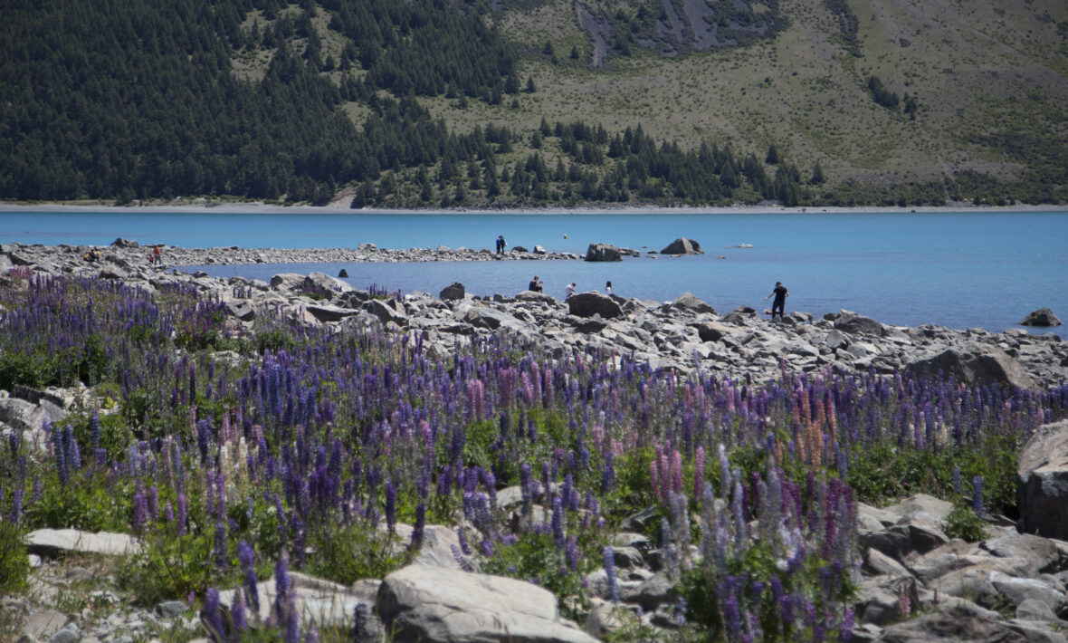 Lake and steep banks lined with firs