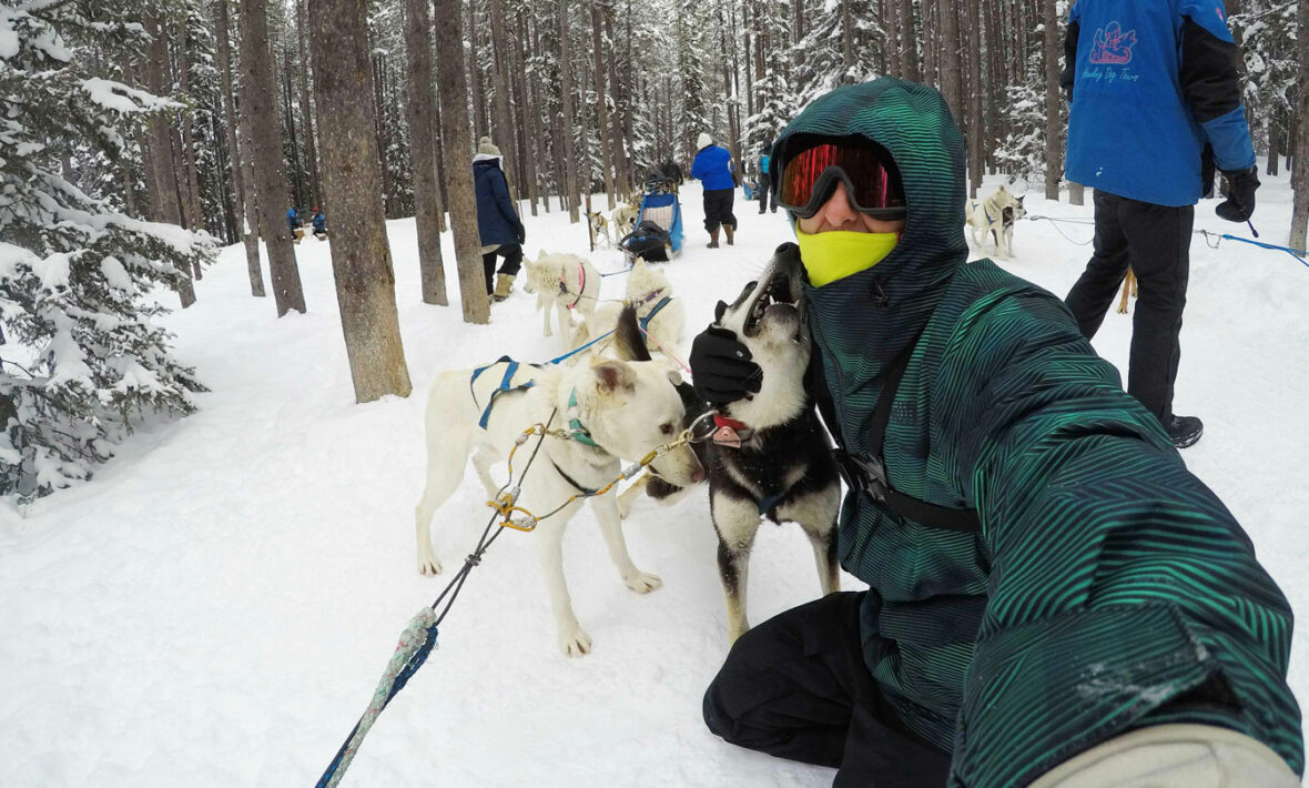 A man is taking a selfie with a group of huskies.