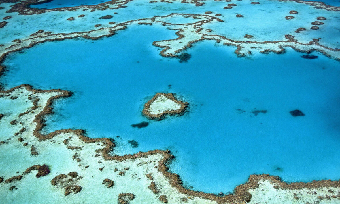 contiki-great-barrier-reef-australia-dead-risk