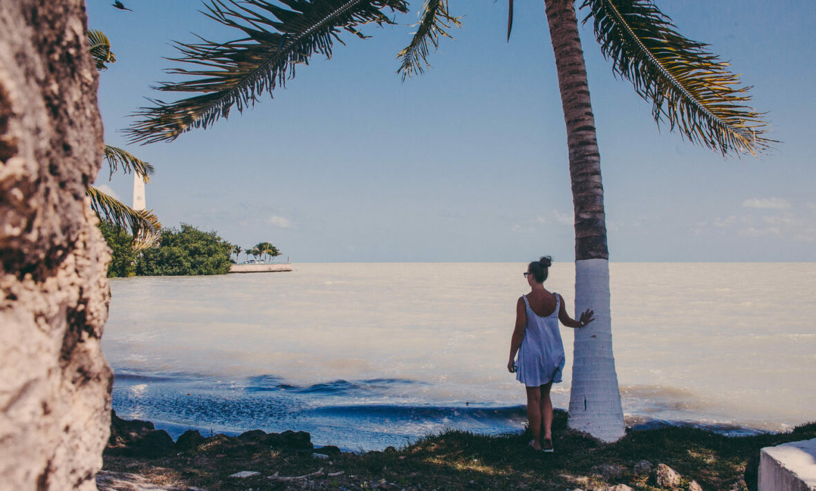 A woman is standing under a palm tree near the ocean, one of the best places to travel in November.