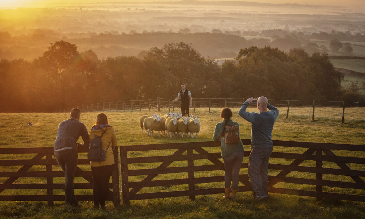 Glenshane Country Farm