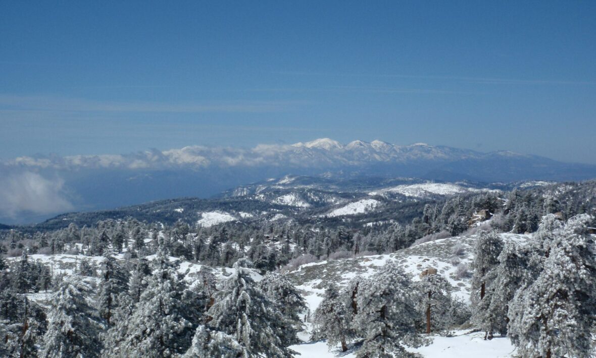 A view of snow covered trees and mountains, perfect for day trips to take from LA.