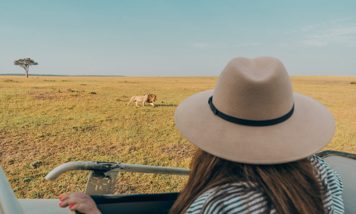 A woman wearing a hat while observing big cats in the wild.