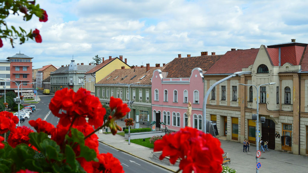 Red flowers in a pot for Budapest day trips.