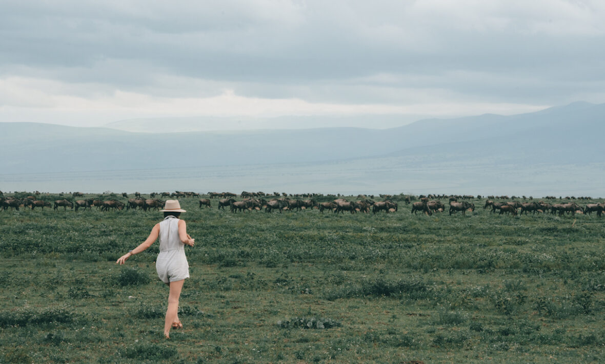 A woman observing East African wildlife in a field with a herd of wildebeests.