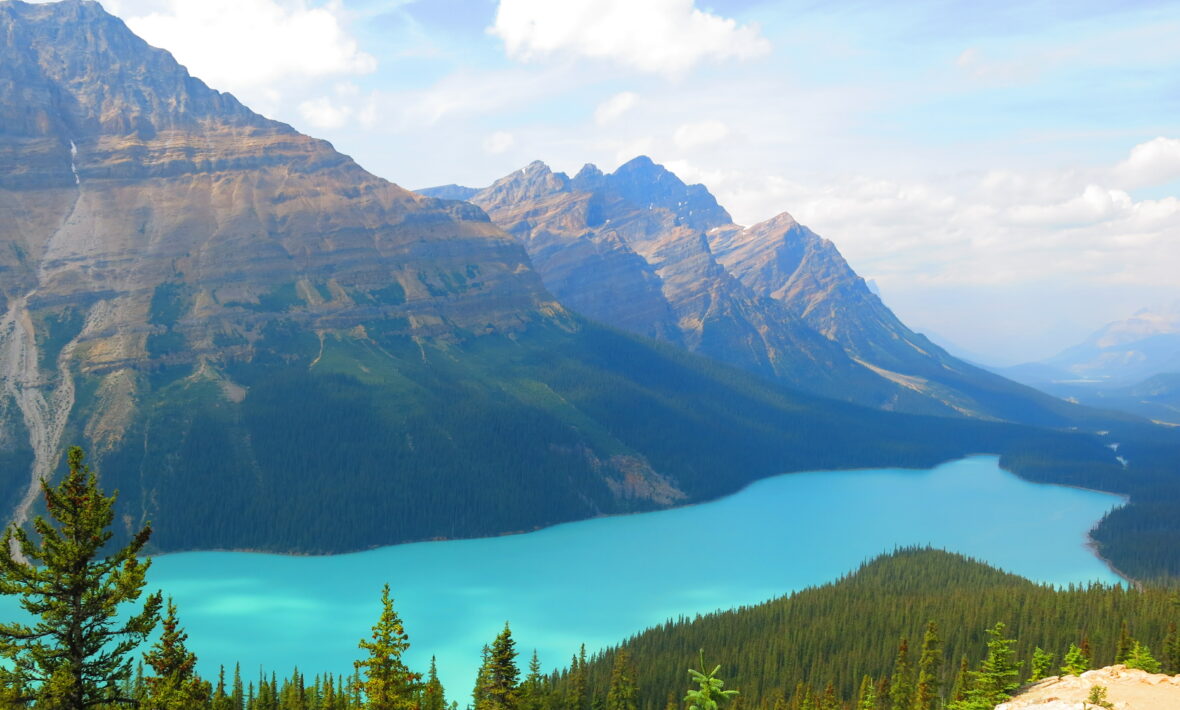 Image of Lake Peyto - Canada and the rockies